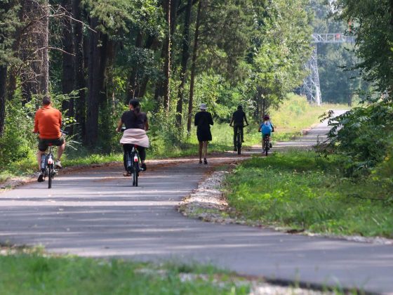 The Green Line of the Prisma Health Swamp Rabbit Trail near the Greenville Downtown Airport on Wednesday, Sept. 20, 2023.